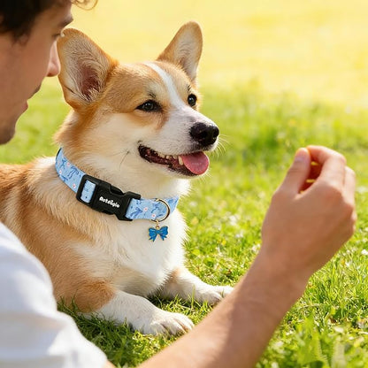 Extra Small Dog Collar, Girl Boy Dog Collars - Image 3
