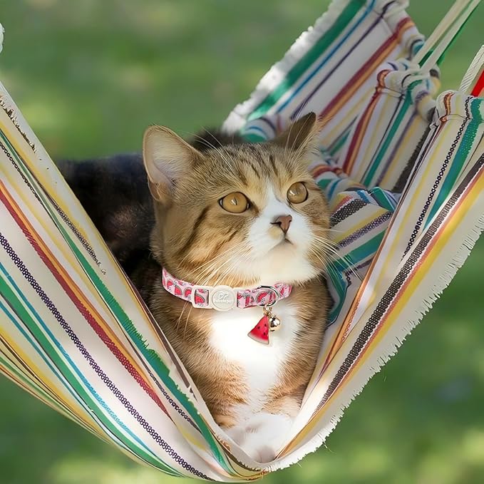 2 Pack Summer Cat Collars - Image 5