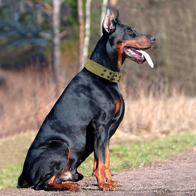 Heavy Duty Dog Collar for Large Dogs, Tactical Dog Collars - Image 6