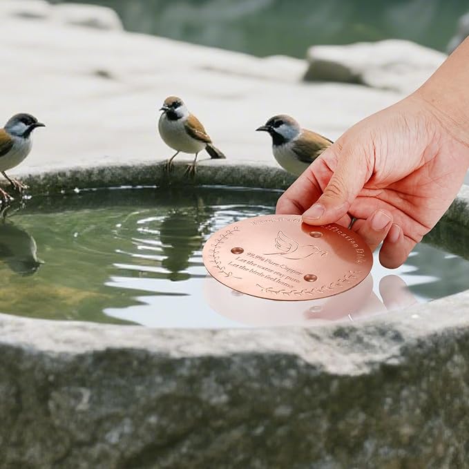 Bird Bath Copper Disk – 1mm Thick 99.9% Pure Copper Disk, 100mm Diameter - Image 6