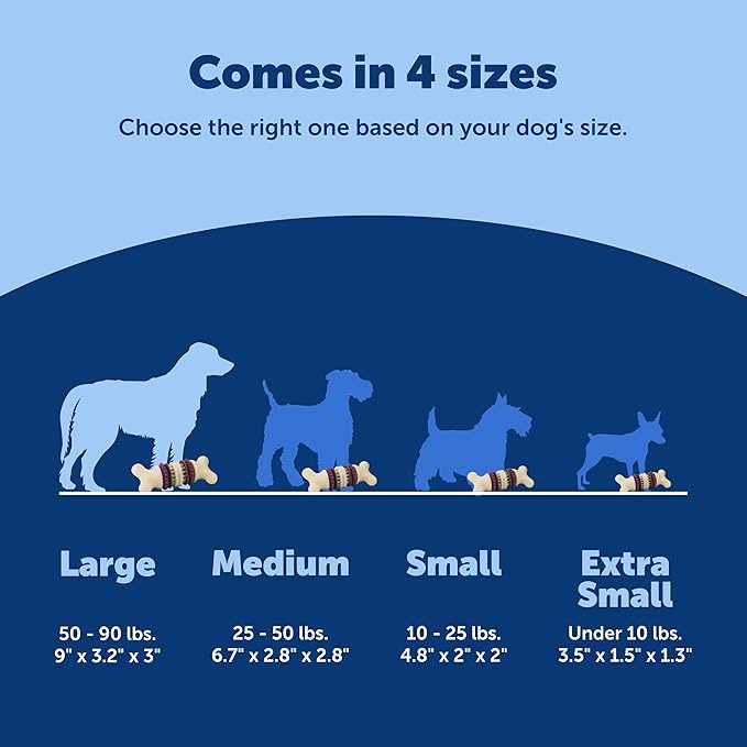 PetSafe Busy Buddy Bristle Bone, Helps Keep Your Dog's Teeth Clean, - Image 5