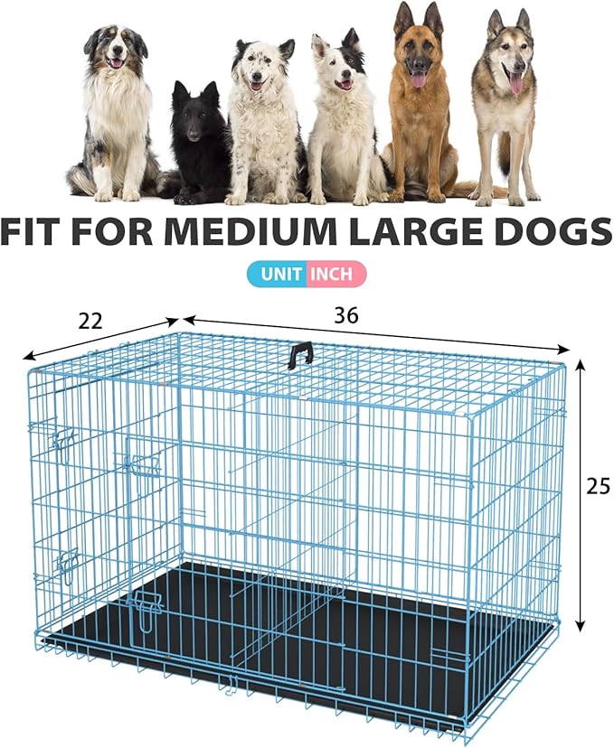 BestPet | Dog Crate | 36" | Blue | Foldable Metal Kennel - Image 7
