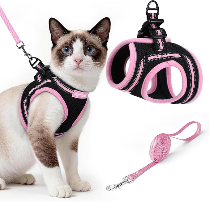 rabbitgoo Cat Harness and Leash, Step-in Escape Proof Kitten Harness Set by rabbitgoo