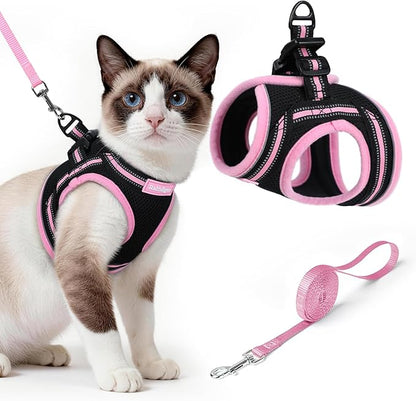 rabbitgoo Cat Harness and Leash, Step-in Escape Proof Kitten Harness Set by rabbitgoo