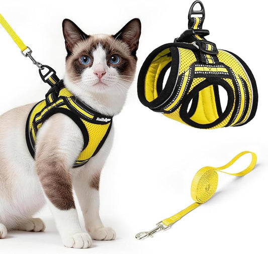 rabbitgoo Cat Harness and Leash, Step-in Escape Proof Kitten Harness Set by rabbitgoo