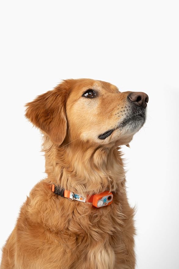 Genuine MS-5® Designer Series Automatic Pet Door Collar Tested & Certified by - Image 5