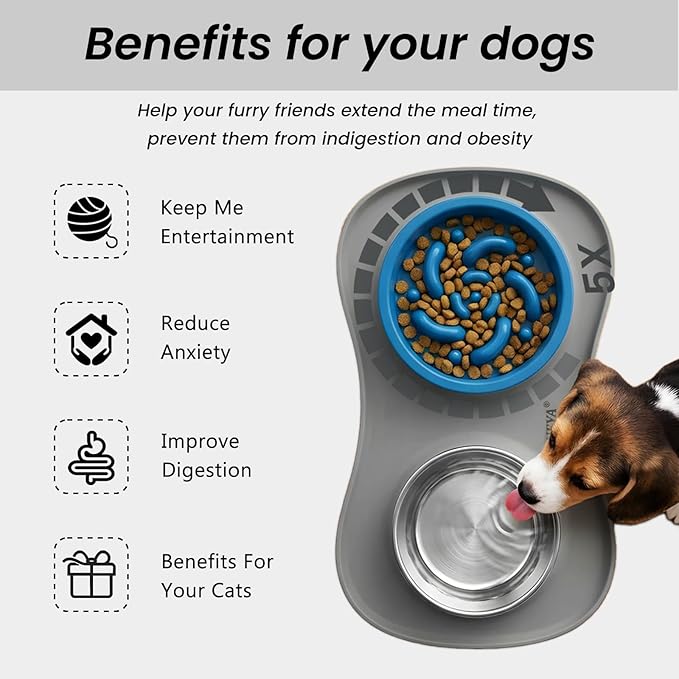 YINEYA 3 in 1 Slow Feeder Dog Bowls & Stainless Steel Food and Water Bowl - Image 3