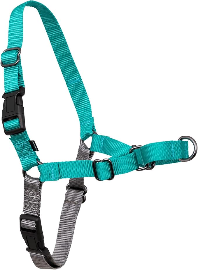 PetSafe Easy Walk No-Pull Dog Harness by PetSafe