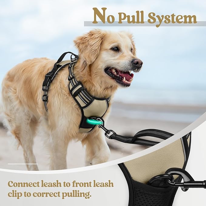 rabbitgoo Dog Harness No Pull - Image 5