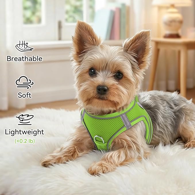 Joytale Small Dog Harness, Breathable Mesh Step-in Vest, Reflective Soft Padded - Image 4