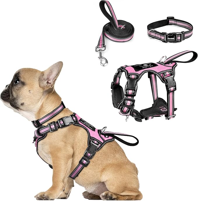 WINSEE Pet Harness Collar and Leash Set, All-in-one Reflective Dog Harness No by WINSEE