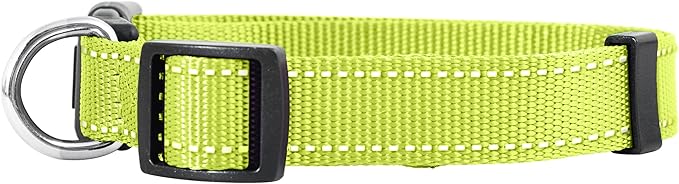 Native Pup Reflective Dog Collar, Bright Glow Colors - Image 2
