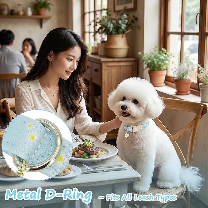 Dog Collar for Small Medium Large Dogs, Spring Blue Dog Collars - Image 6