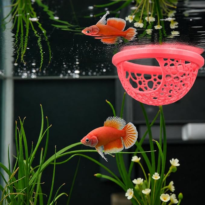 Floating Betta Fish Shrimp, Betta or Shrimp Feeder, Cave Hammock, Small Fish - Image 3