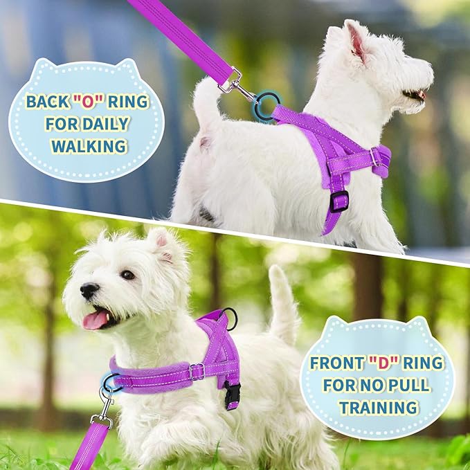 Lukovee No Pull Dog Harness and Leash Set, Soft Padded Small Dog Harness - Image 7