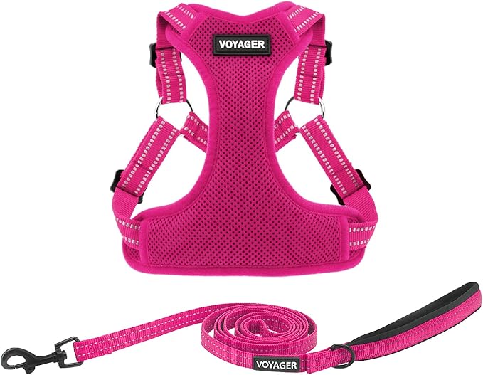 Best Pet Supplies Voyager Adjustable Step-in Flex Breathable Mesh Dog Harness by BestPetSuppliesLLC