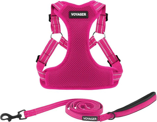 Best Pet Supplies Voyager Adjustable Step-in Flex Breathable Mesh Dog Harness by BestPetSuppliesLLC