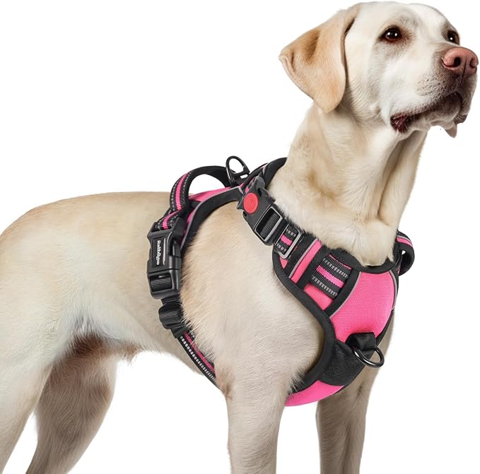rabbitgoo Dog Harness for Large, No Pull Easy On & Off by rabbitgoo