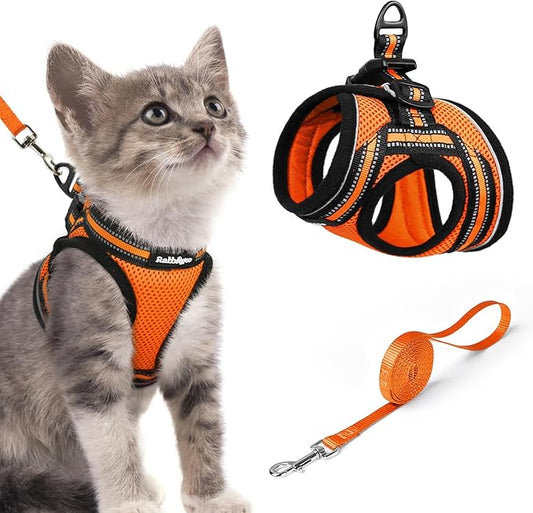 rabbitgoo Cat Harness and Leash, Step-in Escape Proof Kitten Harness Set by rabbitgoo