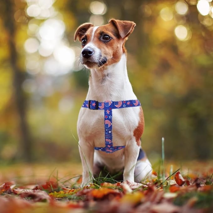 PUPTECK No Pull Dog Harness Soft Adjustable Basic Nylon Step in Puppy Vest - Image 5