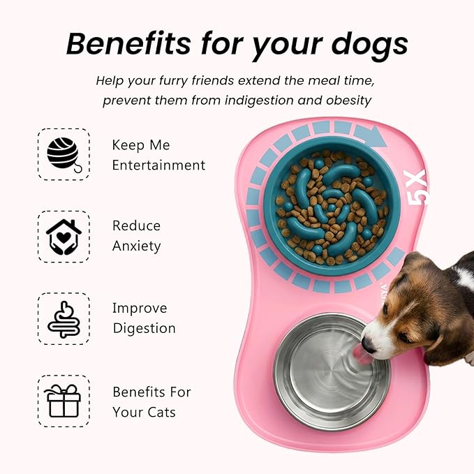 YINEYA 3 in 1 Slow Feeder Dog Bowls & Stainless Steel Food and Water Bowl - Image 3