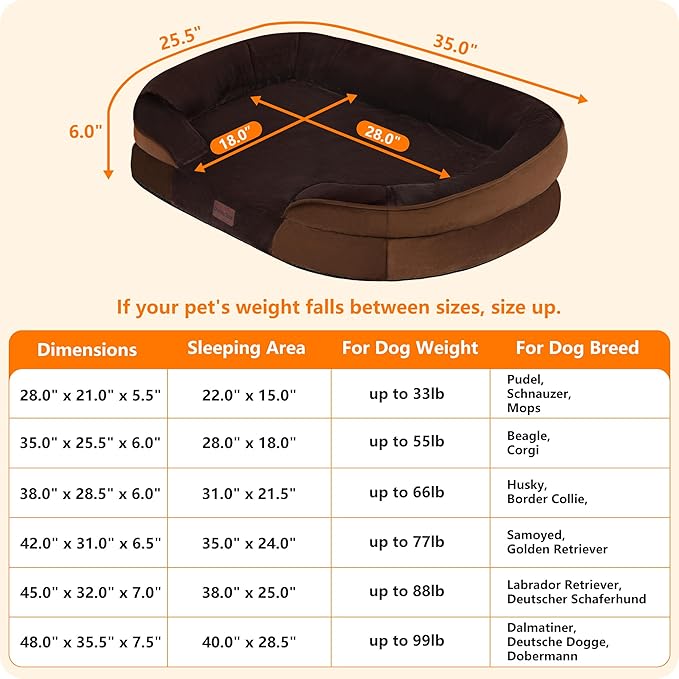 Dwanton Orthopedic Dog Bed for Medium Dogs - Image 4