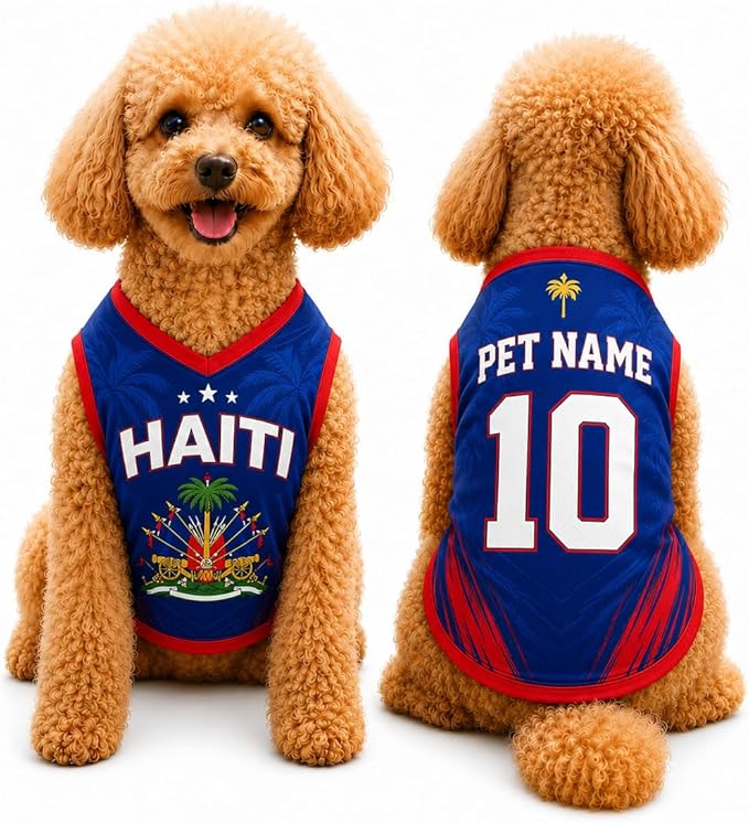 V-DECORPARKS Personalized Pet Soccer Jersey Custom Name Number Dog Cat Football by V-Decorparks
