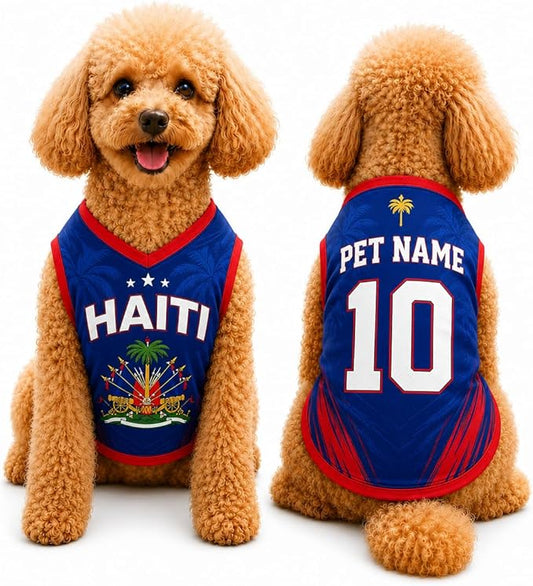 V-DECORPARKS Personalized Pet Soccer Jersey Custom Name Number Dog Cat Football by V-Decorparks