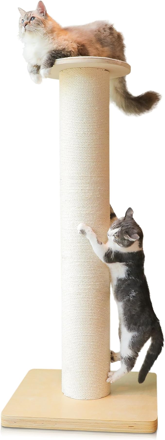 50" Tall Cat Scratching Post, Extra-Large Cat Scratch Post by KONELCARE