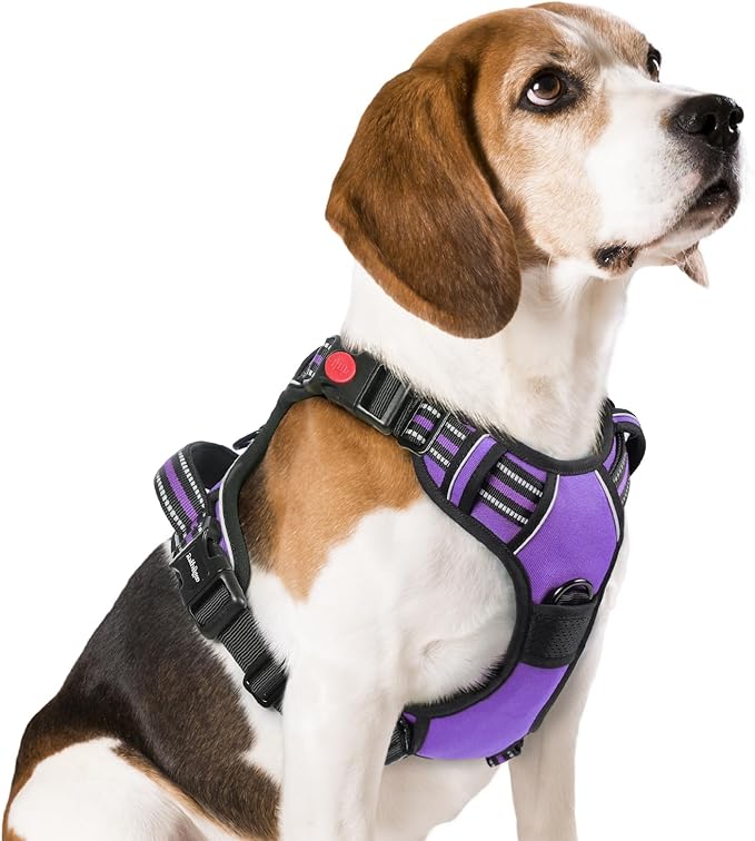 rabbitgoo Dog Harness Medium Sized, No Pull Easy On & Off by rabbitgoo