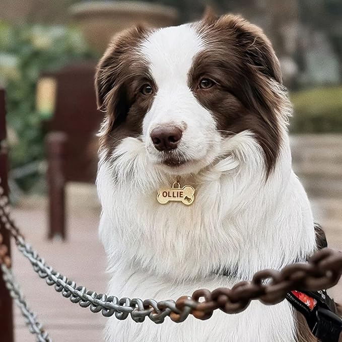 Dogs ID Tags Personalized Front and Back Engraving Brass Bone Shape Small.. - Image 3