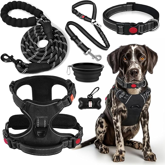 LOBEVE No Pull Dog Harness, Collar & Leash Set | Includes Dog Seat Belt by Lovebegetslove