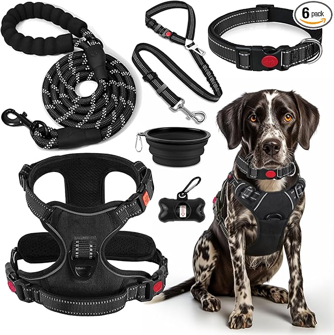 LOBEVE No Pull Dog Harness, Collar & Leash Set | Includes Dog Seat Belt by Lovebegetslove