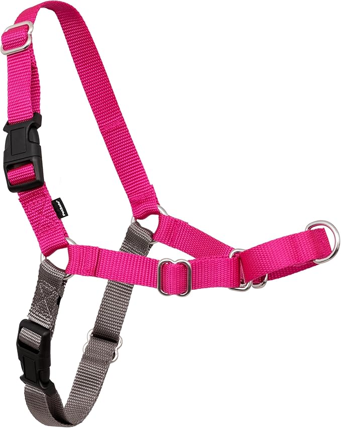 PetSafe Easy Walk No-Pull Dog Harness by PetSafe
