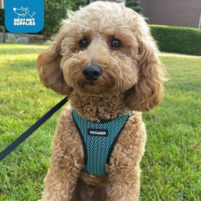 Voyager Step-in Air Dog Harness - Image 10