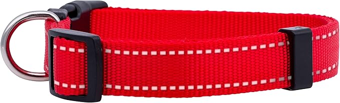 Native Pup Reflective Dog Collar, Bright Glow Colors - Image 2