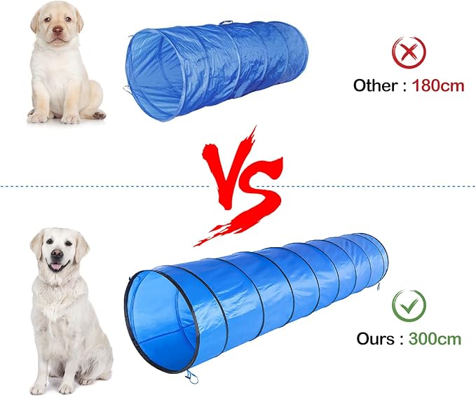 Dog Agility Course Backyard Set - Image 5