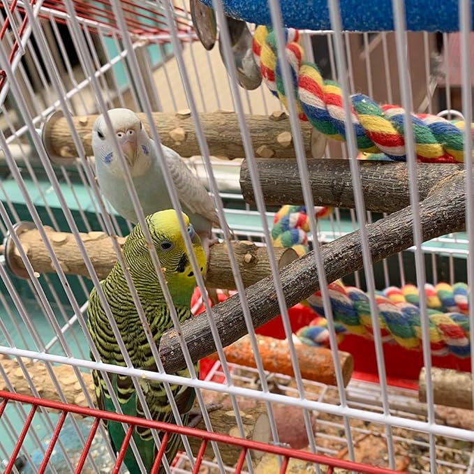 LIMIO Bird Perch 4 PCS Natural Wood Stand Parakeet Toys Bird Cage Accessories - Image 7