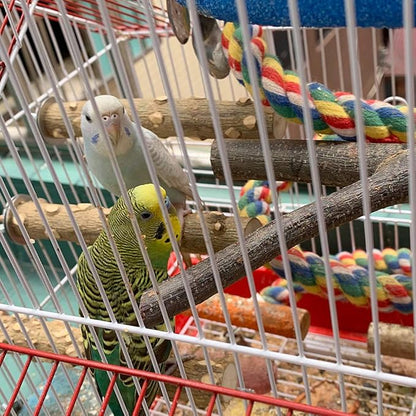 LIMIO Bird Perch 4 PCS Natural Wood Stand Parakeet Toys Bird Cage Accessories - Image 7