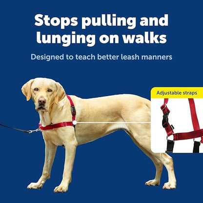 PetSafe Easy Walk No-Pull Dog Harness - Image 4