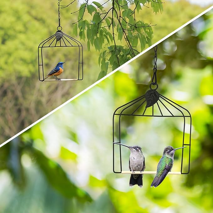 Hummingbird Feeders Bird Swing Metal Frame - Image 4