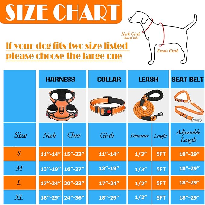 LOBEVE No Pull Dog Harness, Collar & Leash Set | Includes Dog Seat Belt - Image 3