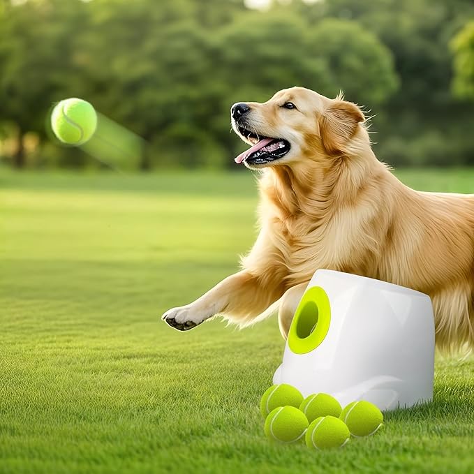 ALL FOR PAWS Automatic Dog Ball Launcher, Interactive Fetch Toy for Medium to by Home
