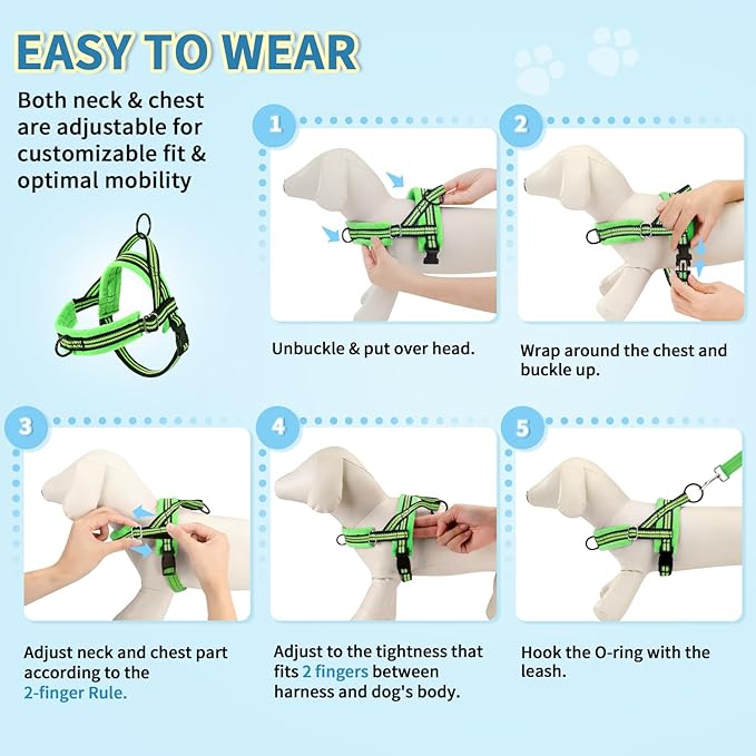 Lukovee No Pull Dog Harness and Leash Set, Soft Padded Small Dog Harness - Image 9