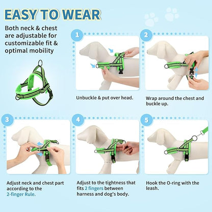 Lukovee No Pull Dog Harness and Leash Set, Soft Padded Small Dog Harness - Image 9