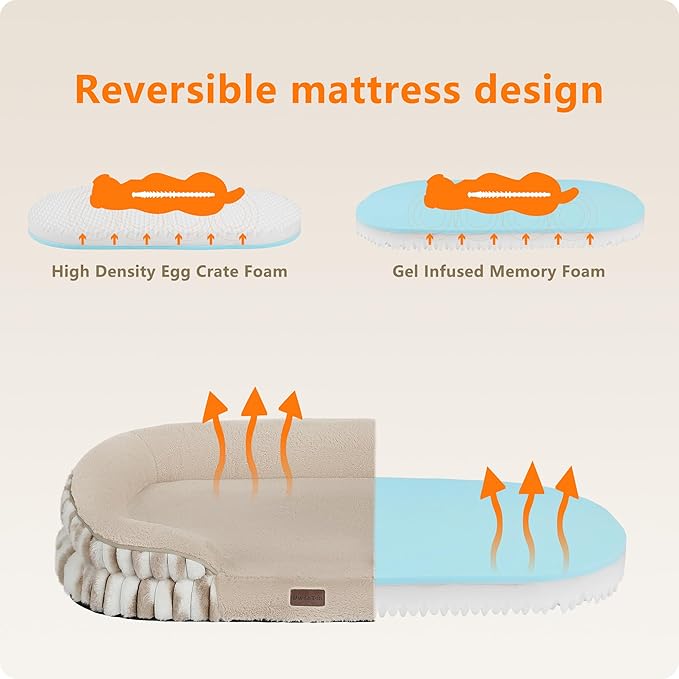 Dwanton Orthopedic Dog Bed for Medium Dogs - Image 3