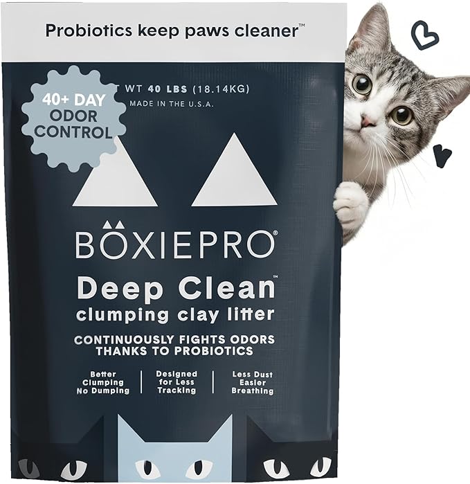 Boxie Probiotic Cat Litter, 40 Day Odor Control, Clumping Clay Kitty Litter by Boxiecat