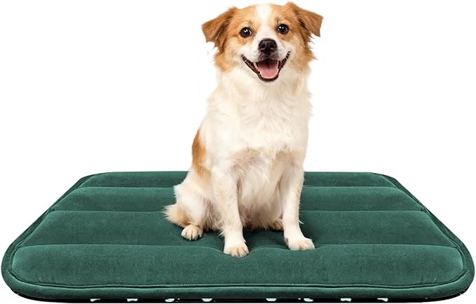 Dog Bed Mat, Reversible Dog Crate Pad by FogkissComfyPawsHome