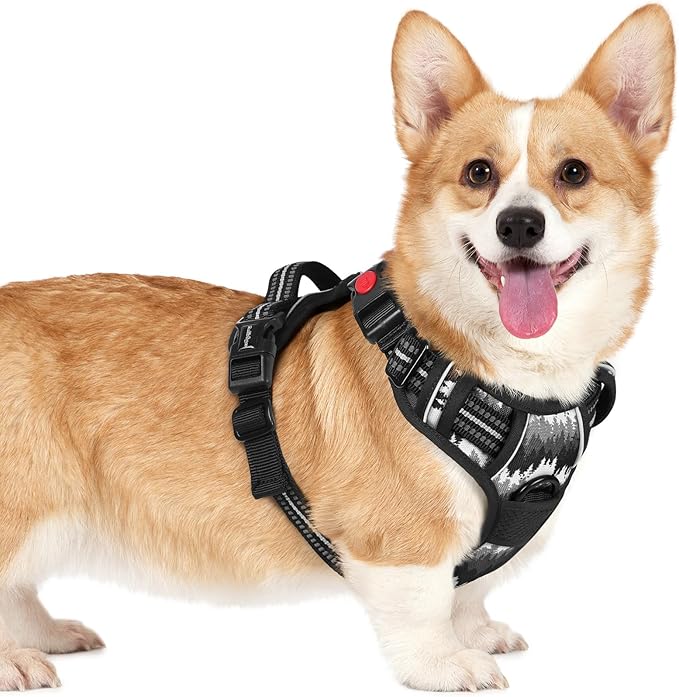 rabbitgoo Dog Harness Small Sized, No Pull Easy On & Off by rabbitgoo