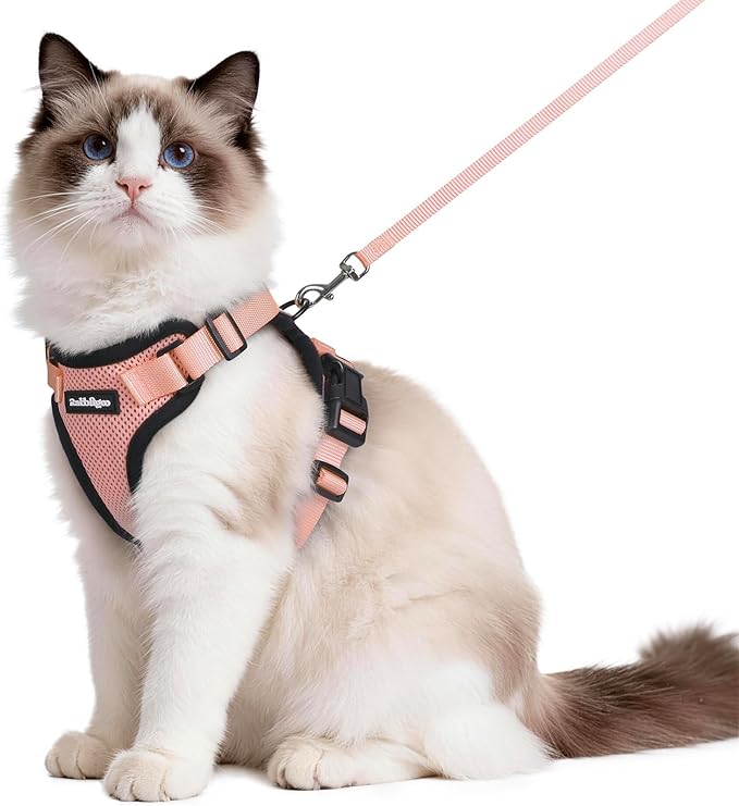 rabbitgoo Cat Harness and Leash Set, Escape Proof Vest Harness by rabbitgoo
